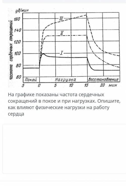 на графике показана частота сердечных сокращений в покое при нагрузках опишите как влияют физические