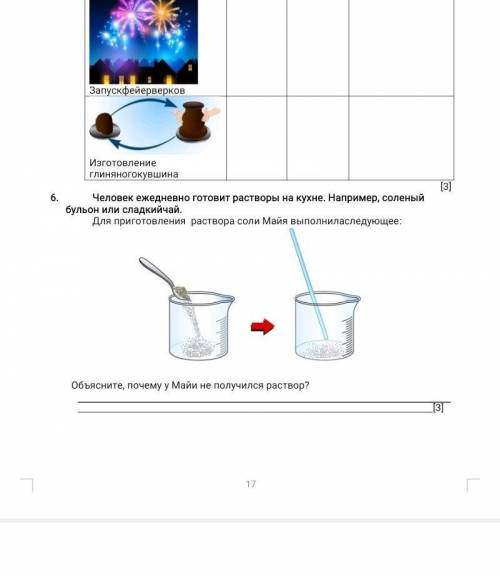 Объясните, почему у Майи не получился раствор?​