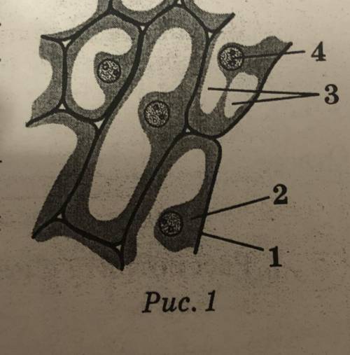 Что находится под номером 3?