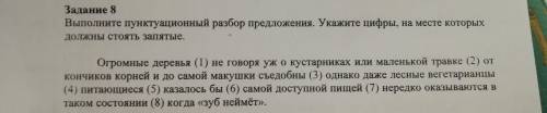 Выполните пунктуационный разбор предложения. Укажите цифры, на месте которых должны стоять запятые