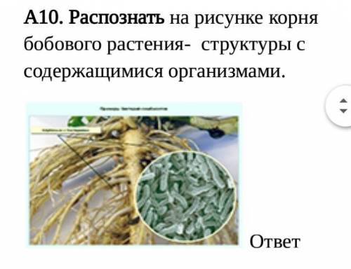 Часть А. При выполнении заданий. А1. Выбрать название процесса, характерного для всех организмов. А