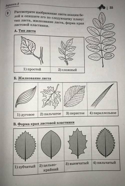 Решите ВПР по биологии 2 вариант. Я не нашёл ответов в учебнике(перечитал весь учебник). Если будете