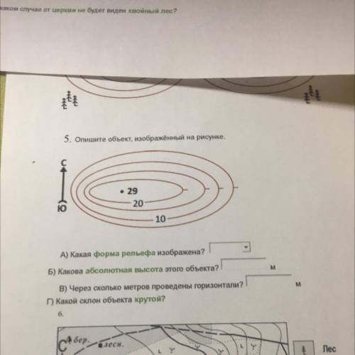 5. Опишите обьект, изображенный на рисунке. А) Какая форма рельефа изображена? Б) Какова абсолютная