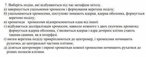 які події відбуваються під час метафази мітозу​