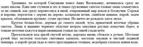 Укажите имя текста 1)Зимний лес2)Прогулка в зимний лес3)Мир покои и безвучия4)Дорога к ручью​