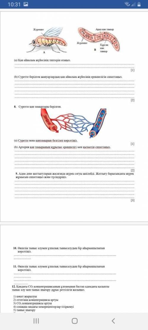 Биология ТЖБ 2 токсан Жауап барма Бериндерш