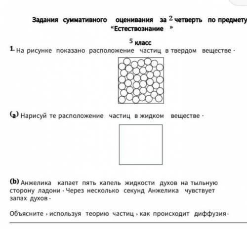 Соч класс 2 четверть естесто знание​