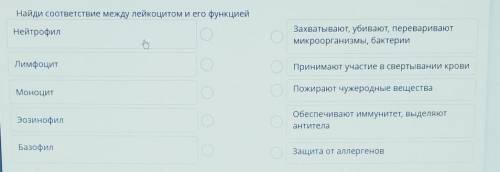 Найди соответствие между лейкоцитом и его функцией.