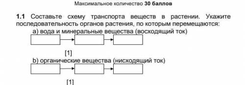 Составьте схему транспорта веществ в растении. Укажите последовательность органов растения, по котор