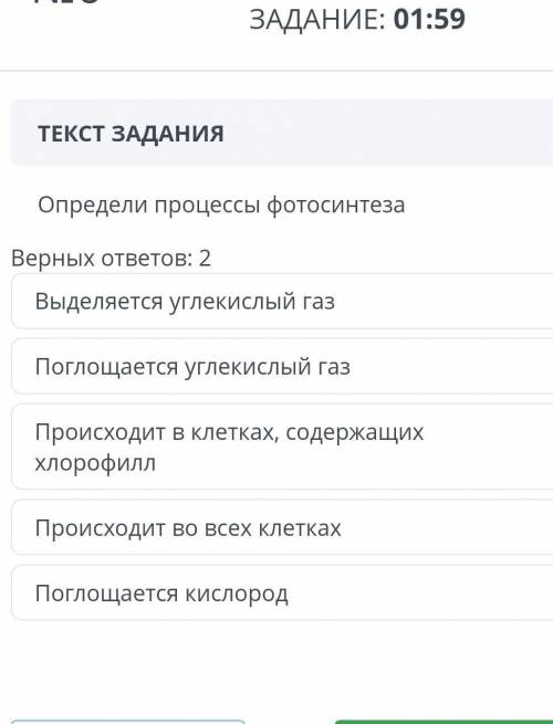 Определите процессы фотосинтеза​
