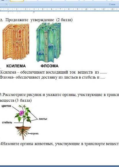 с сочем вас добрые люди