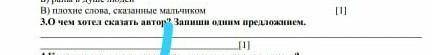 О чем хотел сказать автор?Запиши одним предложинем​