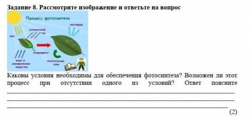 Задание 8. Рассмотрите изображение и ответьте на вопрос Каковы условия необходимы для обеспечения фо