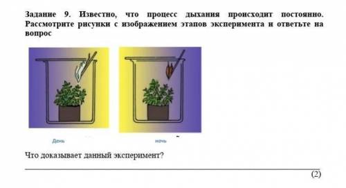 Задание 9. Известно, что процесс дыхания происходит постоянно. Рассмотрите рисунки с изображением эт