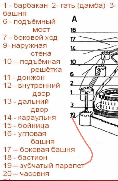 Назовите составные частисредневекового города