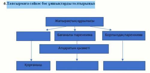 Заполните пустые ячейки в соответствии с заданием