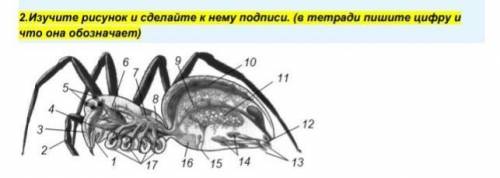 Изучите рисунок и сделайте к нему подписи.​