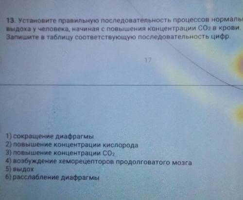 Установите правильную последовательность процессов нормальных вдоха и выдоха у человека начиная с по