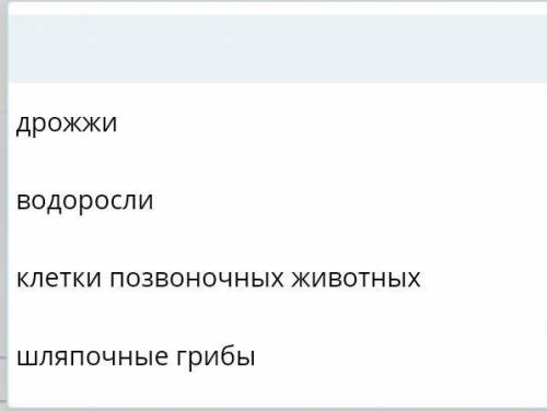 Выбери из предложенного списка, экаким организмам свойственно анаэробное дыхание. ​