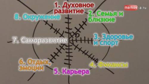 приведите примеры жизненной активности в окружающем мире, очень надо✨​