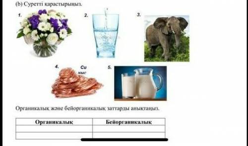 (b) Суретті қарастырыңыз. 1.3.5.С.Органикалық және бейорганикалық заттарды анықтаңыз.ОрганикалыкБейо