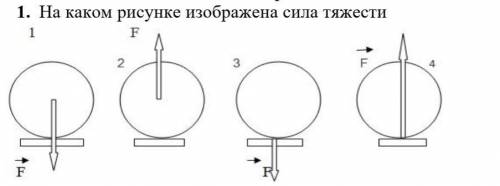 1.На каком рисунке изображена сила тяжести А) 1   В)2   C)3    Д)4​