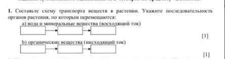 Будем надеяться что ответят адекватные люди,а не ввлвддулулуьаоал, Биология, задание вроде лёгкое,