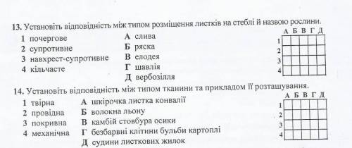 Установіть відповідність між типом розміщення листків на стеблі й назвою рослин Установіть відповідн