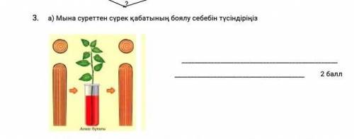 Мына суреттен сүрек қабатының боялу себебін түсіндіріңіз​