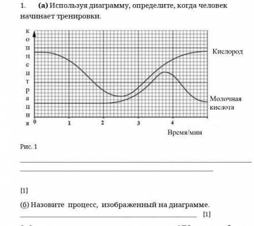 Используя диаграмму, определите, когда человек начинает тренировки.Назовите процесс, изображенный на