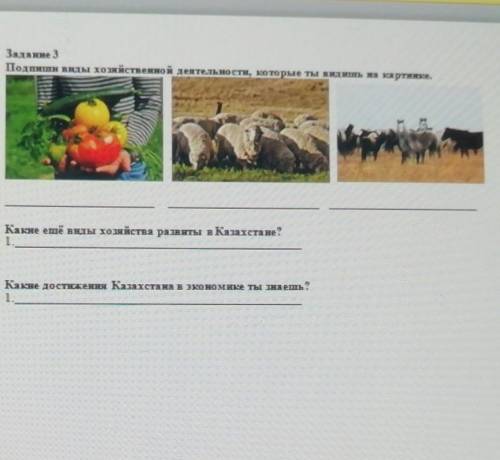 Подпиши виды хозяйственной деятельности которую ты видишь на картинке у меня СОЧ! ​