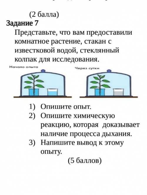 Представьте, что вам предоставили комнатное растение, стакан с известковой водой, стеклянный колпак