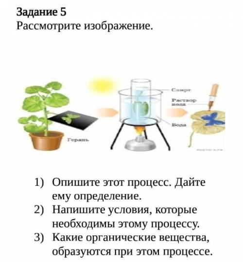 Рассмотрите изображение.1)Опишите этот процесс. Дайте ему определение.2)Напишите условия, которые не