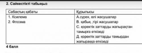 Кімде биология бар?Орнына Алгебра,геометрия,инфо и физика берем номер міне:+77075961126​