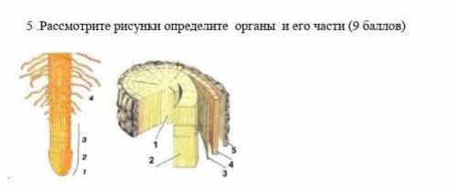 .вопрос на фото если будет правильно то отмечу как лучший ответ ​