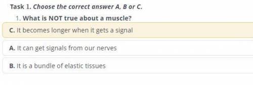 What are skeletal muscles also calledВот видео: https://youtu.be/kaaC7XlNjcI