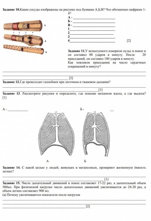 с сочем по билогие 8 класс 2 четверть