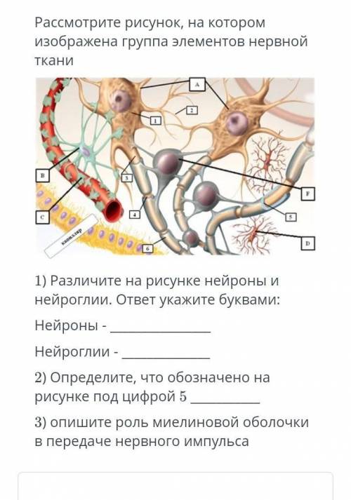 Соч биология 9 класс 2 четверть и подписку