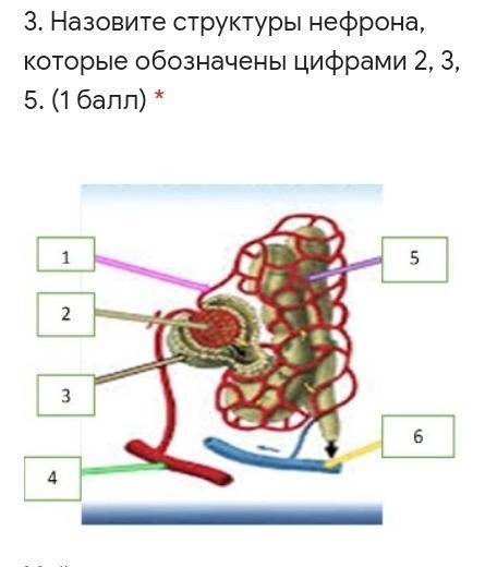 задание на фотографии: Дайте правильный ответ