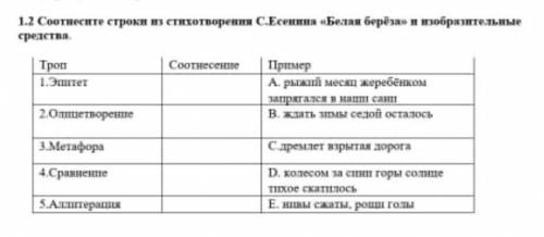 Соотнесите строки из стихотворения С.Есенина Белая Берёза ​