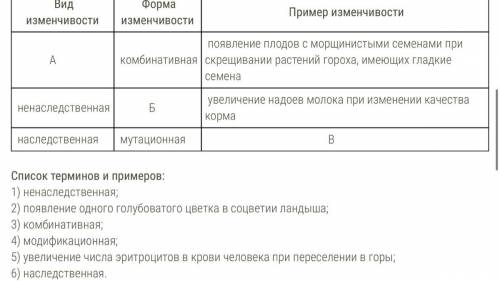 вместо букв нужно вставить слова которые представлены ниже