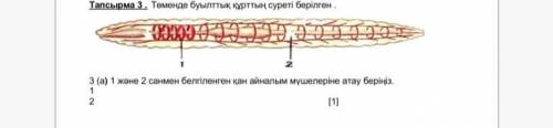 Помагите мен очень нужно