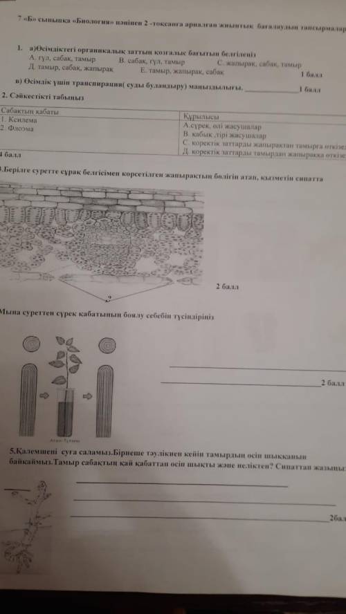 нужно сделать 4 мына суретте сүрек неге боялады