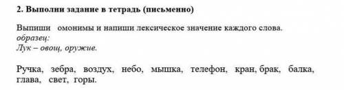 Выпиши омонимы и напиши лексическое значение каждого слова -!​