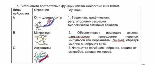 Установите соотвтествие