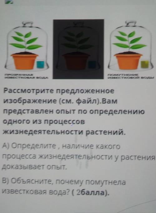 Рассмотрите предложенные изображение вам представлен опыт по определению одного из процессов жизнеде