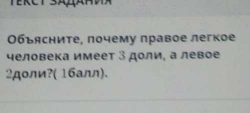 ТЕКСТ ЗАДАНИЯ Объясните, почему правое легкоечеловека имеет 3 доли, а левое2доли?( ).|​