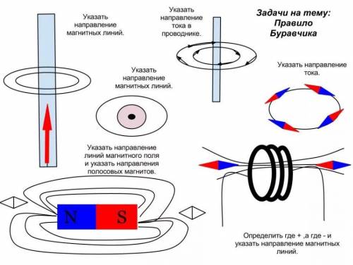 Определите направления магнитных линий.