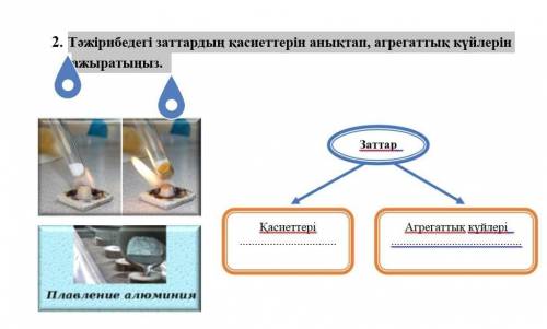 Тәжірибедегі заттардың қасиеттерін анықтап, агрегаттық күйлерін ажыратыңыз.