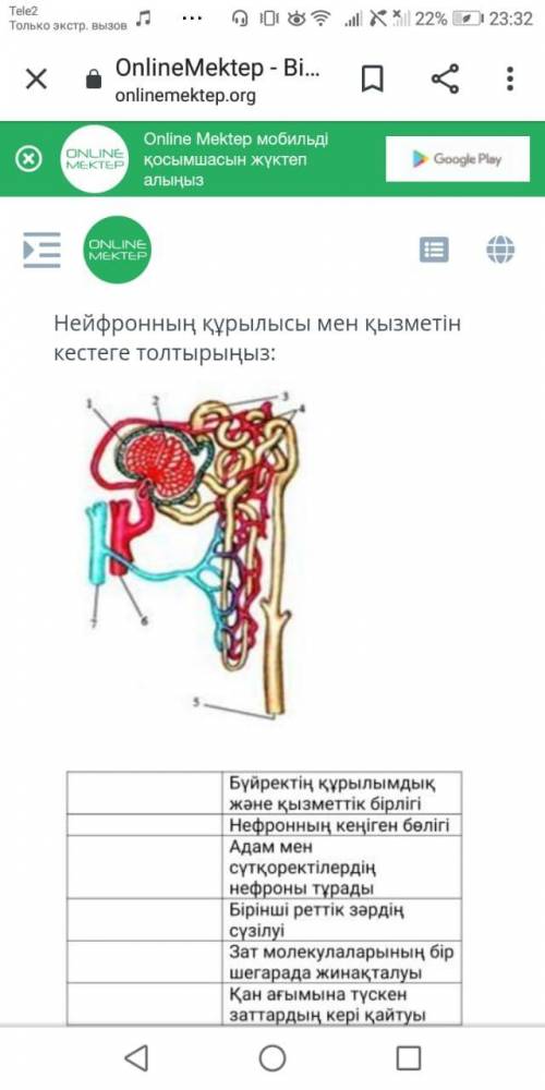 СОЧ БЖБ КӨМЕКТЕСИНДЕРШИ ТЖБ БИОЛОГИЯ 15